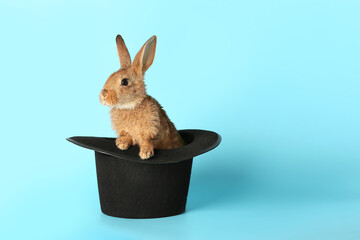 Magician hat with cute rabbit on color background