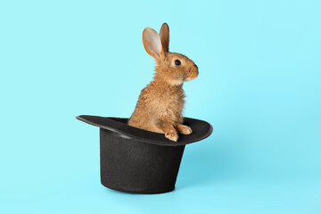 Magician hat with cute rabbit on color background