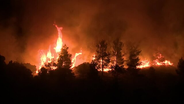 Rhodes Greece : fire in the forest of pine trees in the night
