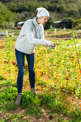 Young woman gardener working with seedlings. High quality photo