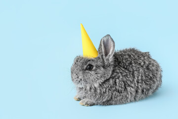 Cute fluffy rabbit in party hat on color background