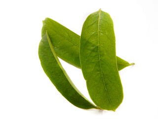Soursop tea is an herbal tea that is made from the leaves of the soursop fruit tree. Also known to...