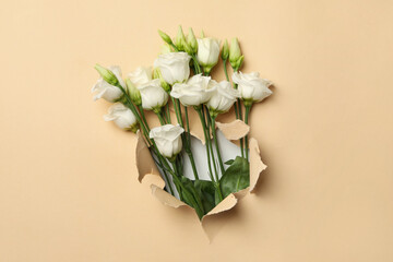 Beautiful white roses through beige paper hole