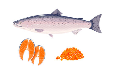Salmon fish steaks and red caviar. Vector illustration cartoon flat icon set isolated on white background.