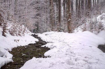 Winter landscape in fog, with river