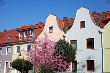 Häuserzeile, Reihenhäuser, Wohngebäude, Altbauten, Frühling, Bremen, Deutschland, Europa