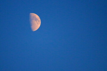 evocative image of a moon phase of the moon up in the sky