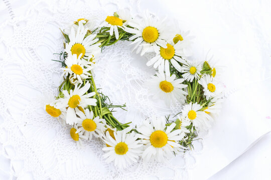 Daisy Crown Images – Browse 5,908 Stock Photos, Vectors, and Video | Adobe  Stock