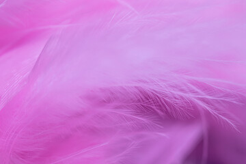 pink feather background