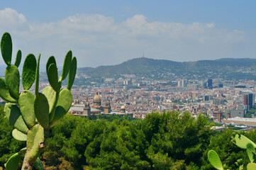 View of Barcelona from Montjuic Hill Barcelona, Spain