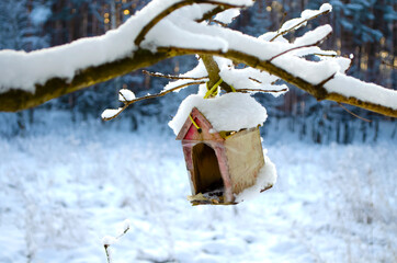 Naklejka premium Bird feeder in the winter forest