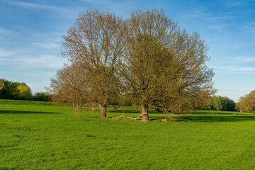 Rheinaue Friemersheim in Duisburg, Ruhr Area, North Rhine-Westphalia, Germany