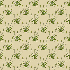 Seamless pattern with blond plantain, medicinal plant