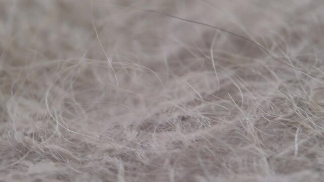 Details of grey wool product. textured fluff wool background. super close-up 4k video. Selective Focus. Blur