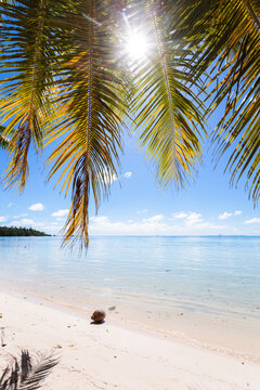 Tropical beach, Moorea, Tahiti, French Polynesia