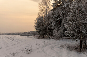 winter landscape with trees and snow