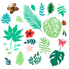 Set of tropical leaves and flowers isolated on white background. Vector graphics.