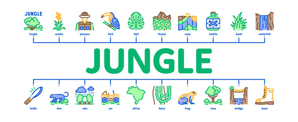 Jungle Tropical Forest Minimal Infographic Web Banner Vector. Jungle Tree And Animal, Waterfall And Wood, Flower And Bush, Boot And Car Color Illustration