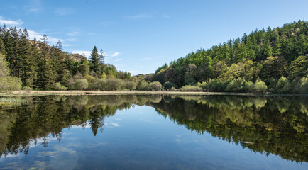 Fototapeta na wymiar View down Yew Tree Tarn in the Lake District 1193