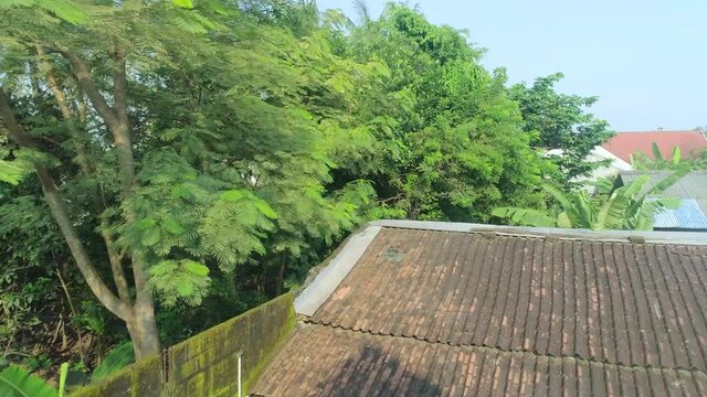 Reveal cinematic aerial footage of Yogyakarta city, Indonesia in landscape view from drone flying over trough the trees with blue sky background