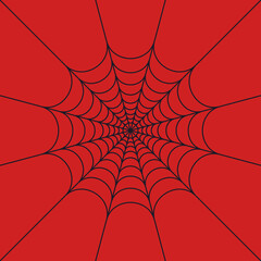 Spider web