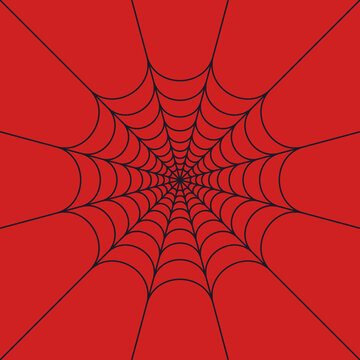 Spider web