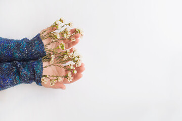 Women's hands in a sweater from under which flowers are on the palms. The concept of the arrival of spring.