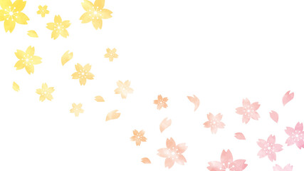 桜の花クラデーション背景