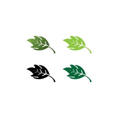 leaf icon
