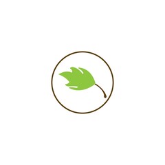 leaf icon