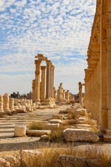 The ancient city of Palmerya in the Syrian desert in 2020