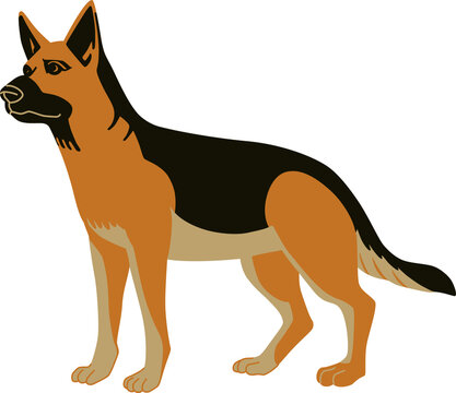 61 Best ジャーマンシェパード Images Stock Photos Vectors Adobe Stock