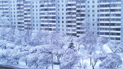 Winter is here. Snowfall in city. White snow covered tree and road near apartment residential building. Chilly. Cityscape. Nobody. Beauty in nature. Frosty weather, blizzard. Cold temperature.