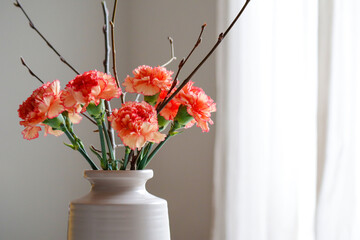 frische Frühlingsblumen in der Vase, Nelken