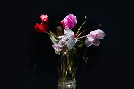 А bouquet of flowers in a vase on a rough background! Delicate spring flowers.
