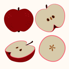 Stock vector illustration with set of apples on a white background, red apples, slices. Contemporary apples. Cute colorful summer fruit for icon design, stickers. EPS 10
Set of apples fruit