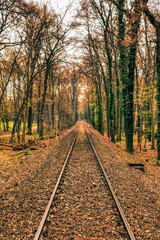 Fototapeta premium Autumn Railroad