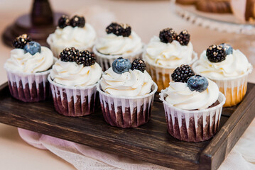 Festive blackberry and blueberry cupcakes. Copy space. Set of various delicious muffins on a tray.