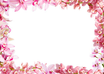 Frame made of flowers. Lovely orchids with copy space