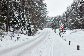 Winter road and forest in snow