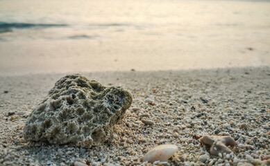 Background image of beautiful sunrise in French beach, Qatar with sea shells.