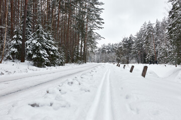 Ski tracks near the road