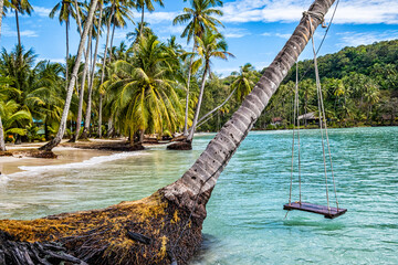 Beautiful Thai beach with palm trees and coconuts