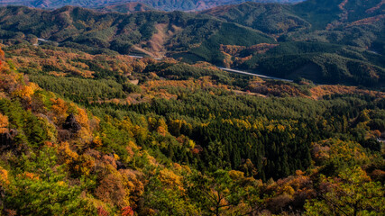 伊達市霊山の紅葉