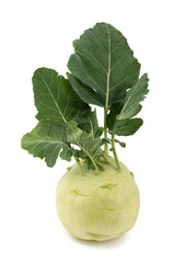 Fresh Cabbage turnip