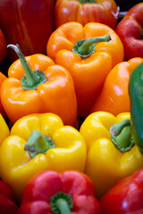 Background: Colorful green , red and yellow capsicum or peppers paprika