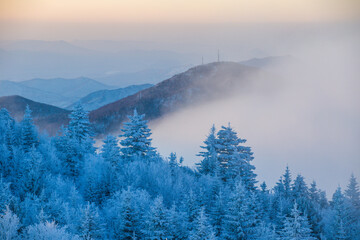 Beautiful winter landscape. Morning fog covers the top of the snowy mountain. Powdered trees hide behind the morning winter fog.