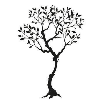 Silhouette of a black tree with leaves and buds on a white background. Vector illustration