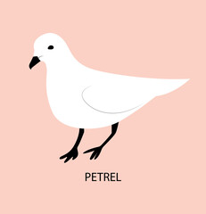 Illustration with petrel. Cute cartoon character.