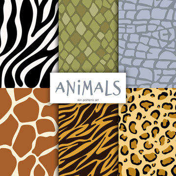 Animals skin patterns set. Handdrawn vector illustration.